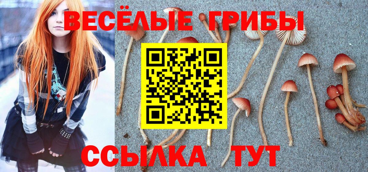 Котлас  Галлюциногенные грибы ЛСД  Вход с VPN 